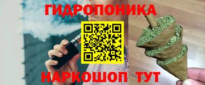 spice Славгород