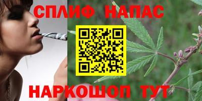 spice Славгород