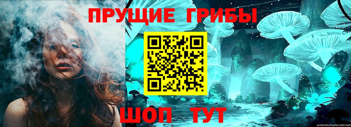 Галлюциногенные грибы Psilocybine cubensis Нягань